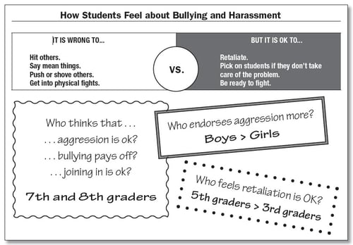 Student Feelings About Bullying
