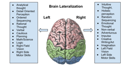 brain-lateralization.png